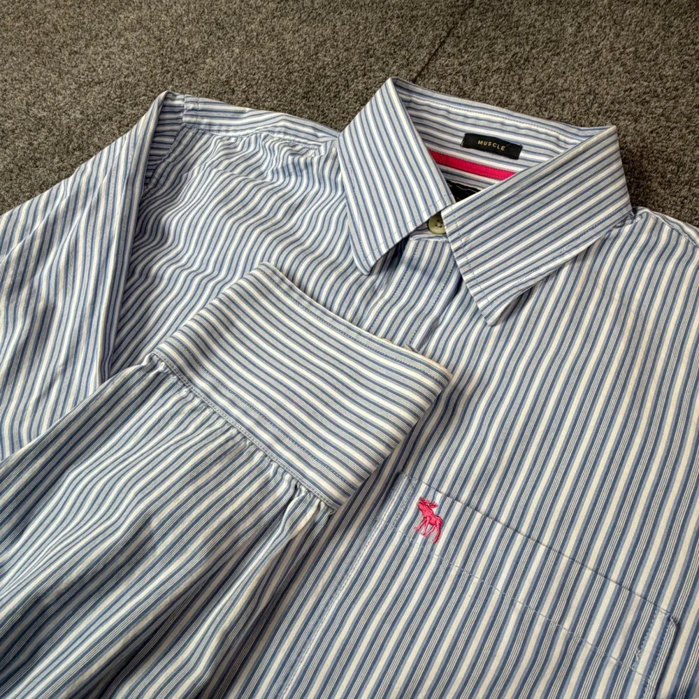 VTG Abercrombie & Fitch Men Large Muscle Fit Stripe Button Down Shirt Blue White